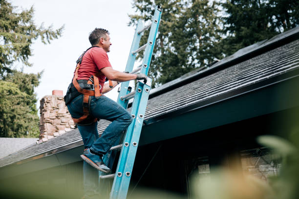 Best Skylight Installation and Repair  in Callaway, FL